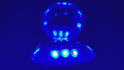 Blue Courtesy/Deck light Automatic/photocell